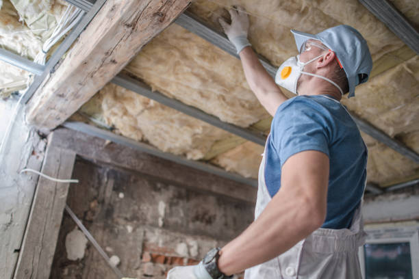 Best Insulation Maintenance and Repair in Farley, KY